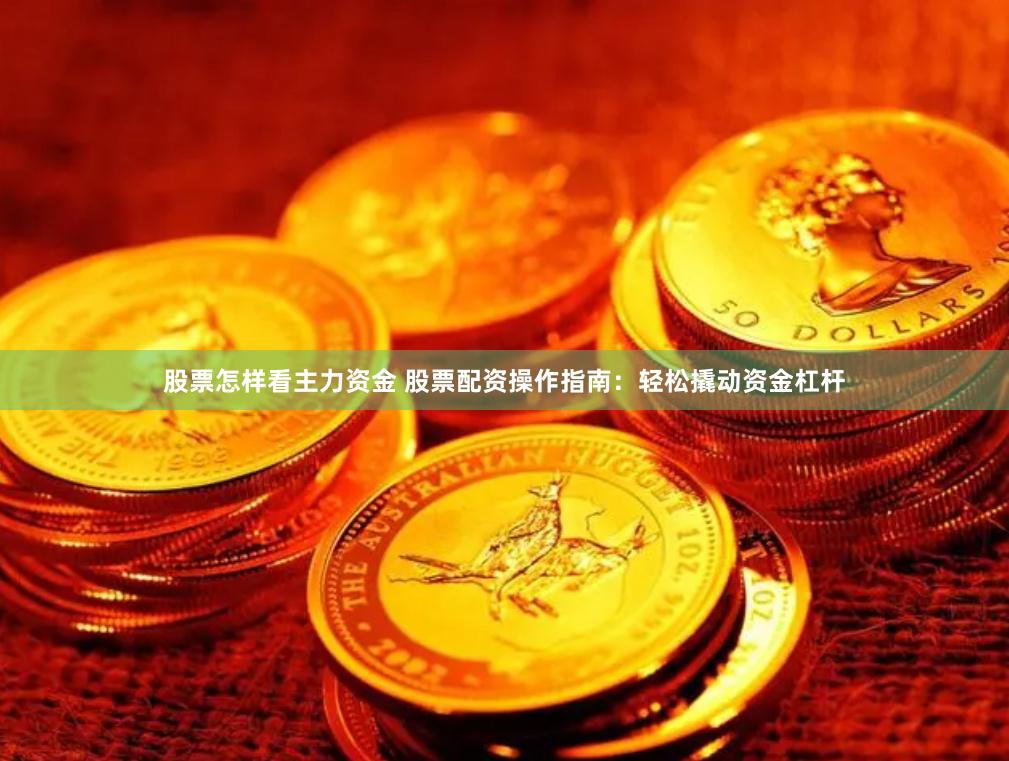 股票怎样看主力资金 股票配资操作指南：轻松撬动资金杠杆