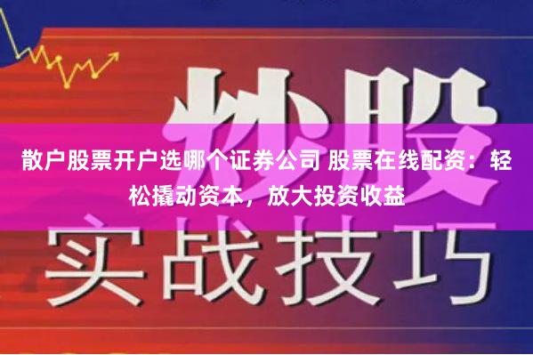 散户股票开户选哪个证券公司 股票在线配资：轻松撬动资本，放大投资收益