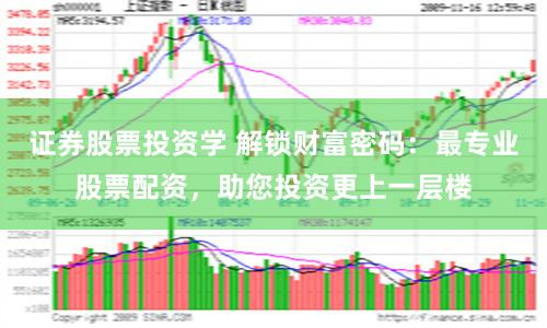证券股票投资学 解锁财富密码：最专业股票配资，助您投资更上一层楼