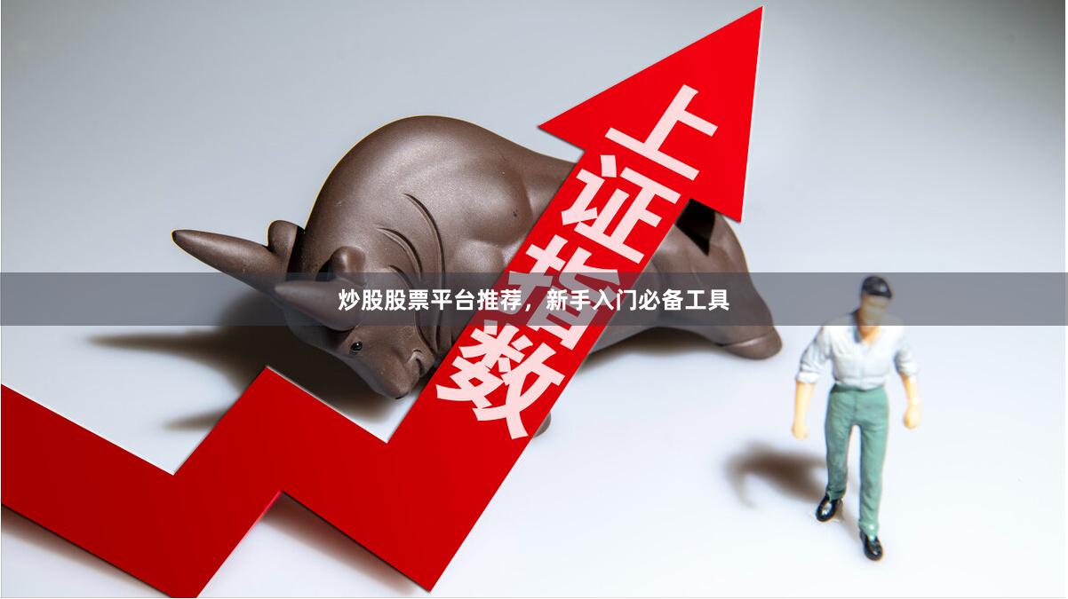 炒股股票平台推荐，新手入门必备工具